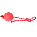 Dog Training Ball on Rope