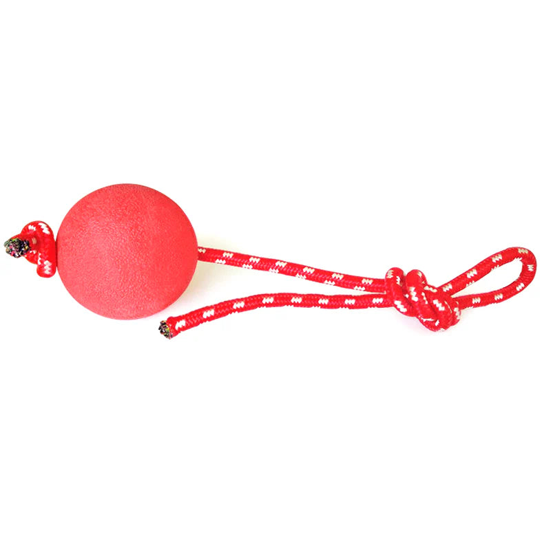 Dog Training Ball on Rope