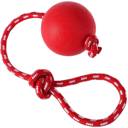 Dog Training Ball on Rope