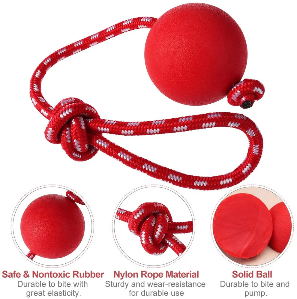 Dog Training Ball on Rope