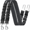 2 Pack Dog Seat Belt for Car